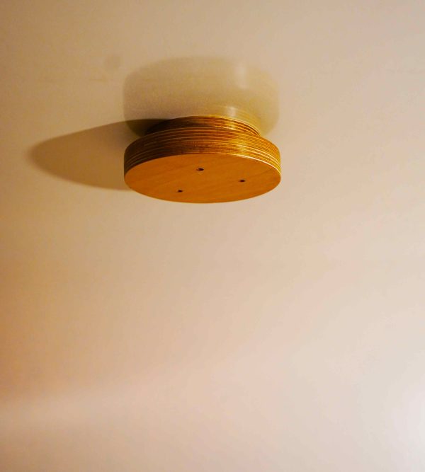 Triple Cable Ceiling Rose - Image 4
