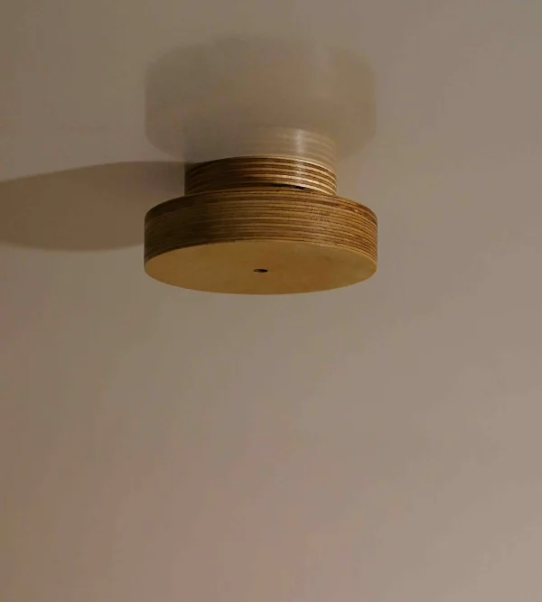 Single Cable Ceiling Rose - Image 2